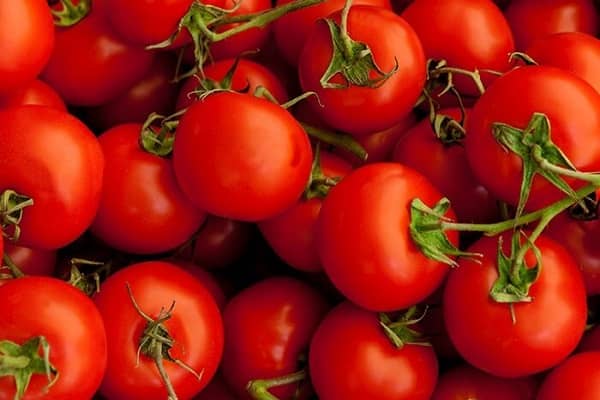 Tomate Tomate